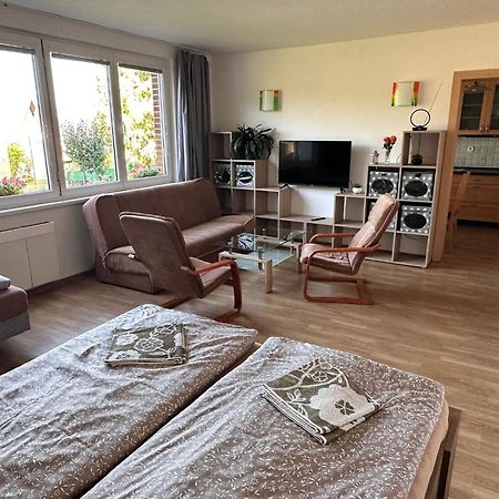 Apartmany U Rybnika Cesky Krumlov Exterior photo